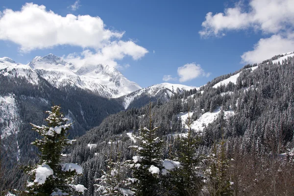 Pinzgau, Austria — Stock Photo, Image