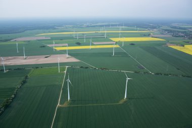 Alanlar ve çayırlar, Brandenburg, Almanya