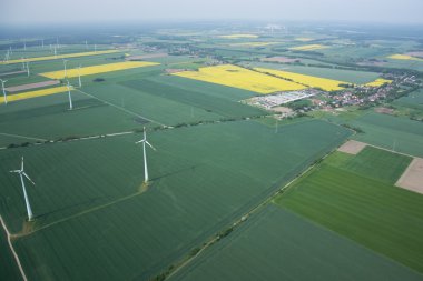 Alanlar ve çayırlar, Brandenburg, Almanya