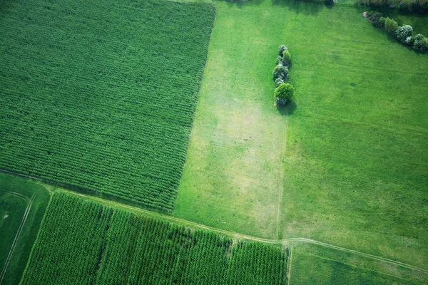 Fields and Meadows, Brandenburg, Alemanha — Fotografia de Stock