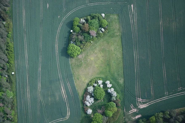 Felder und Wiesen, Brandenburg, Deutschland — Stockfoto