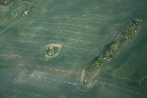 Fields and Meadows, Brandenburg, Alemanha — Fotografia de Stock