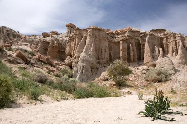 Antelope Valley Poppy Reserve, Californie, États-Unis — Photo