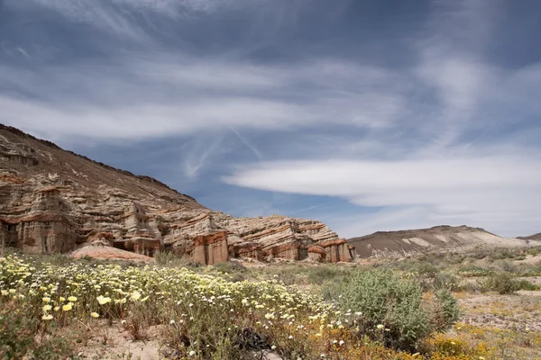 Antelope Valley Poppy Reserve, California, EE.UU. — Foto de Stock