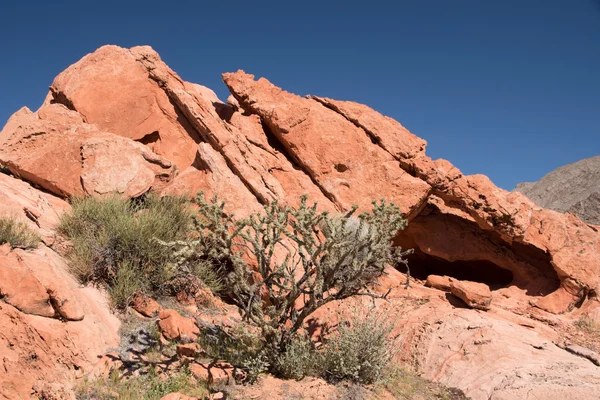 Whitney Pocket, Nevada, USA — Stock Photo, Image