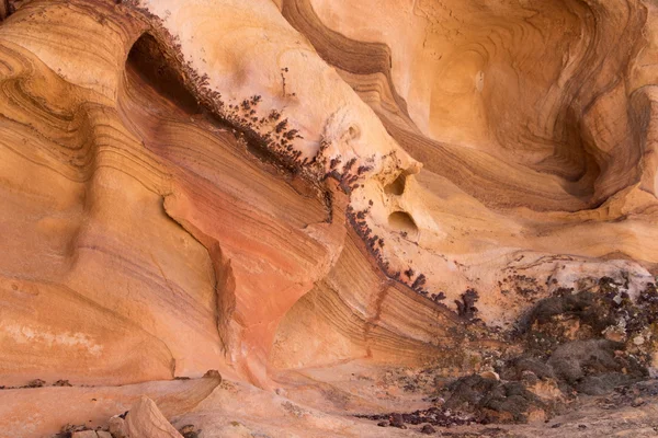 Whitney Pocket, Nevada, USA — Stock Photo, Image