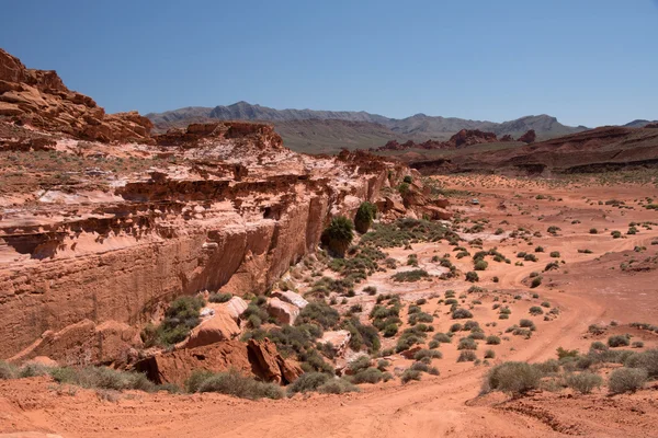 Little Finland, Nevada, Estados Unidos — Foto de Stock