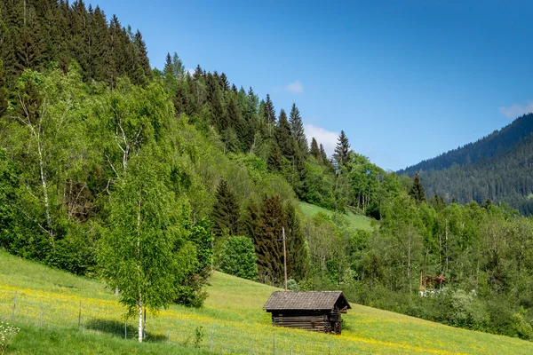 Turrach magas, Karintia, Ausztria — Stock Fotó