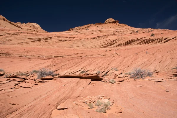 Edmaiers Secret, Utah, EE.UU. — Foto de Stock