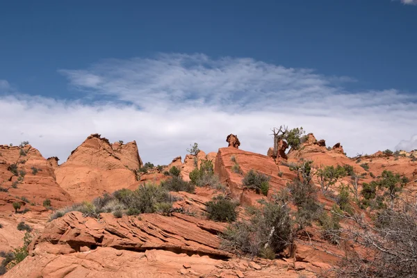 Edmaiers gizli, Utah, Amerika — Stok fotoğraf