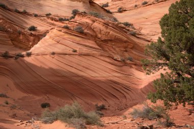 Çakal Buttes Güney, Utah, ABD