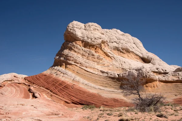 White Pocket Canyon, Arizona, USA — Stock Photo, Image