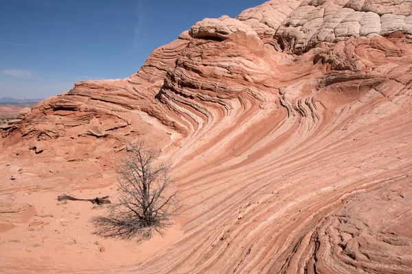 White Pocket Canyon, Arizona, USA — Stock Photo, Image