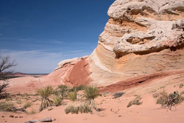 White Pocket Canyon, Arizona, Verenigde Staten — Stockfoto