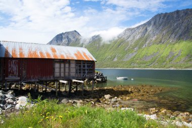 Gryllefjord, Senja, Norveç