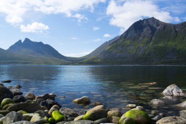 Gryllefjord, Senja, Norveç