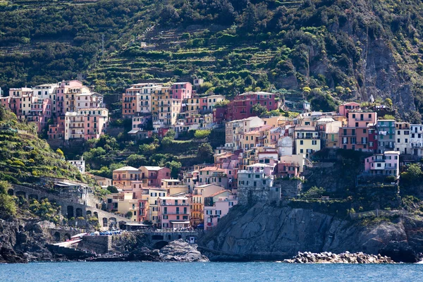 Manarola, cinque terre, feld y — стоковое фото