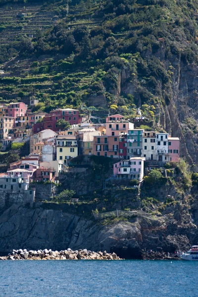 Manarola, cinque terre, feld y — стоковое фото