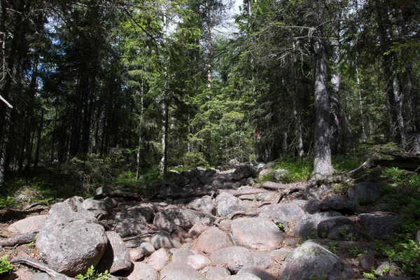 Skuleskogen Nationaal Park, Hoega Kusten, Zweden — Stockfoto