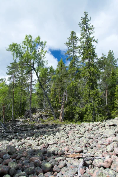 Skuleskogen National Park, Hoega Kusten, Sweden — Stock Photo, Image