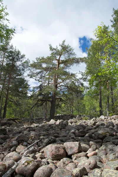 Skuleskogen National Park, Hoega Kusten, Sweden — Stock Photo, Image