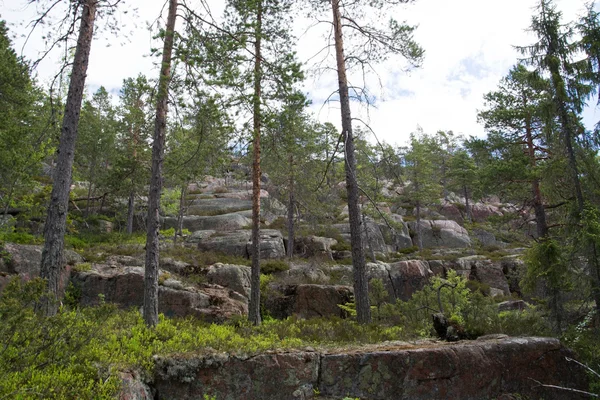 Skuleskogen Nationaal Park, Hoega Kusten, Zweden — Stockfoto