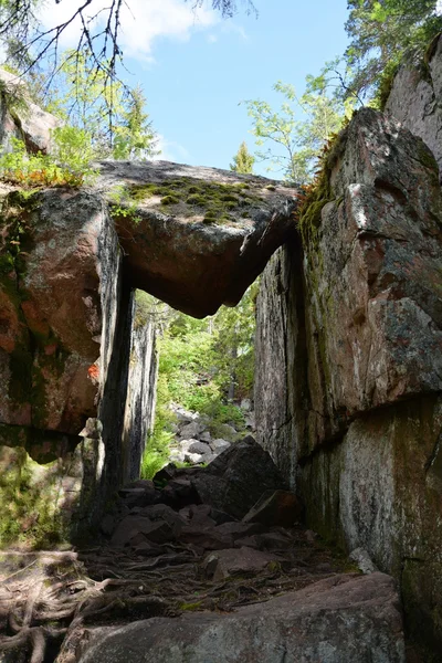 Skuleskogen Nationaal Park, Hoega Kusten, Zweden — Stockfoto