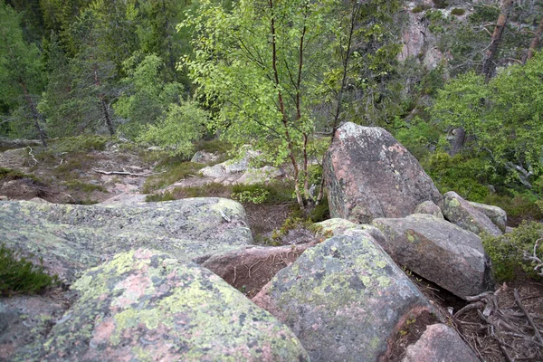 Skuleskogen Nationaal Park, Hoega Kusten, Zweden — Stockfoto