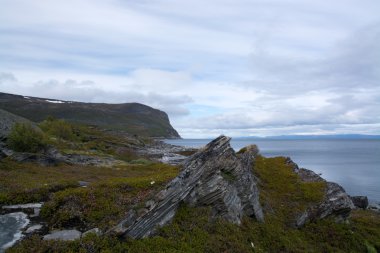 Sahilde Porsangerfjord, Norveç