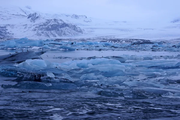 Joekulsarlon, Islande — Photo