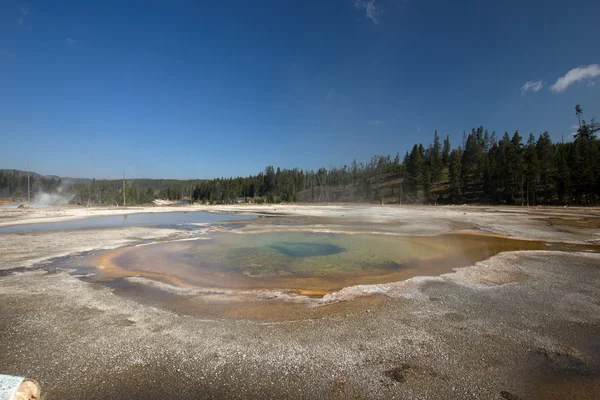 Parque Nacional Yellowstone, Utah, EE.UU. — Foto de Stock