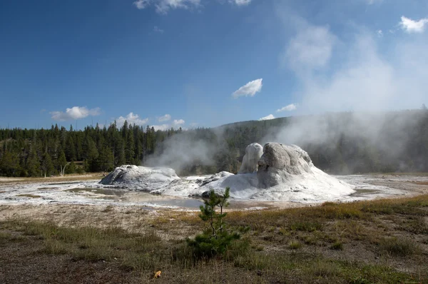 Parque Nacional Yellowstone, Utah, EE.UU. — Foto de Stock