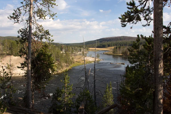 Yellowstone national park, utah, Verenigde Staten — Stockfoto