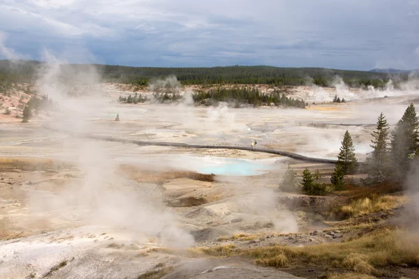 Parque Nacional Yellowstone, Utah, EE.UU. — Foto de Stock