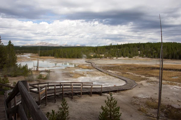 Parque Nacional Yellowstone, Utah, EE.UU. — Foto de Stock