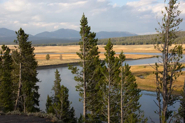 Parque Nacional Yellowstone, Utah, EE.UU. — Foto de Stock