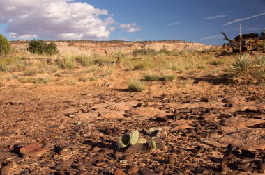 Moki Hill, Utah, Amerika