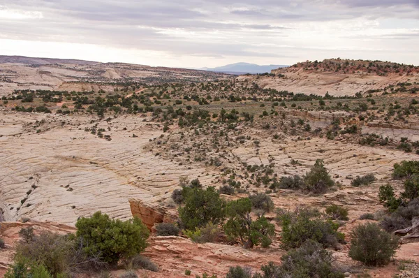 Moki Hill, Utah, Usa — Stockfoto