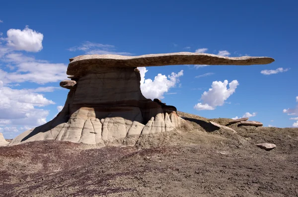 King of Wings, New Mexico, USA — Stock Photo, Image