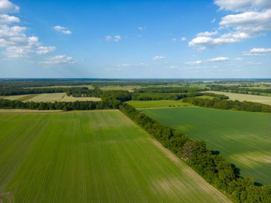 Gartow, Aşağı Saksonya 'nın Luechow-Dannenberg ilçesine bağlı küçük bir kasabadır..