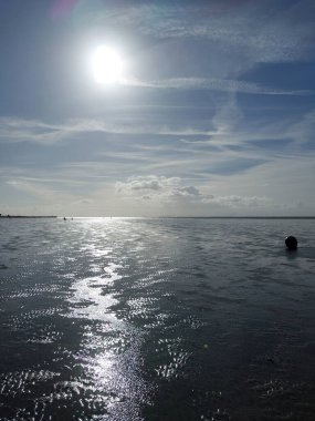 Gelgit düzlükleri, denizin gelgitlerden güçlü bir şekilde etkilenen kıyılarıdır.