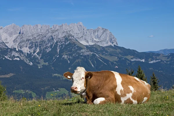 Wilder Kaiser, Tirol, Austria —  Fotos de Stock