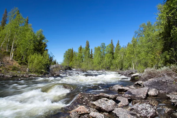 Lapland, Vaesterbotten, Sweden — Φωτογραφία Αρχείου