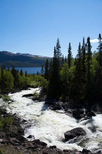 Lapland, Vaesterbotten, Sweden — Stok fotoğraf