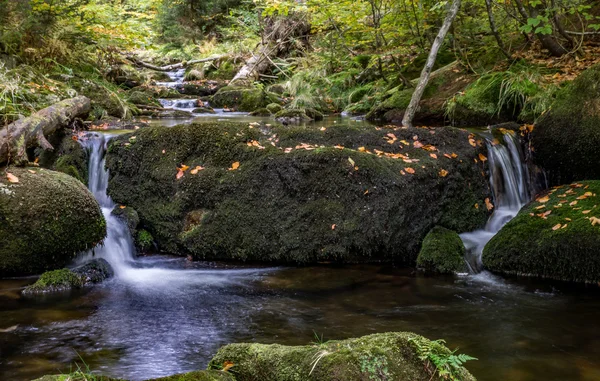 Bavarian Forest, Bavaria, Germany — Stock Photo, Image