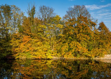 Sonbahar sezon Almanya