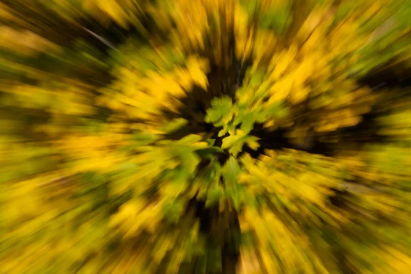 Blurred Autumn Leaf — Stock Photo, Image