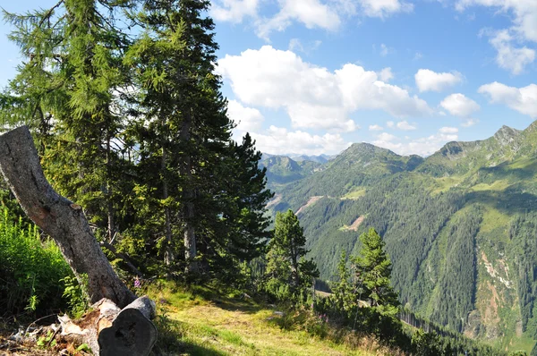 Planai-hochwurzen, Steiermark, Österreich — Stockfoto