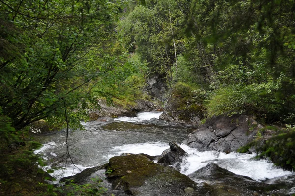 Riesachfall, Štýrsko, Rakousko — Stock fotografie