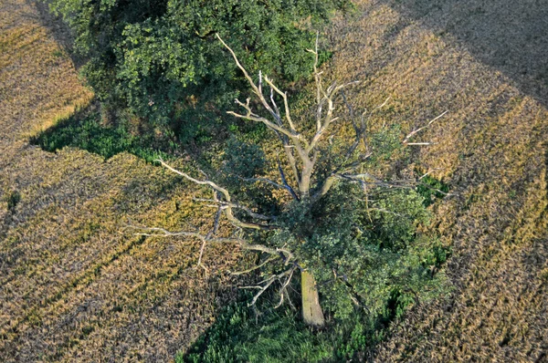 Luftaufnahme von brandenburg, deutschland — Stockfoto